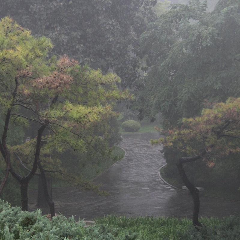 Ritan_Park_1.jpg - Ritan is a park in Beijing: It was raining...